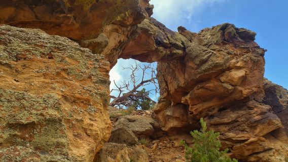 Cañon City: Tur Jeep Colorado - Tur Setengah Hari Red Canyon