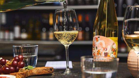 Amsterdam: degustazione di vini olandesi con sommelier
