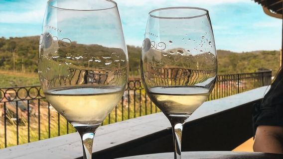 Sao Roque : visite privée des vignobles avec petit-déjeuner et déjeuner