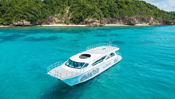 Off-the-beaten-path tour from Phuket: 1-day island hopping and snorkeling at Phi Phi Islands + Maya Bay + Ko Mai Phai