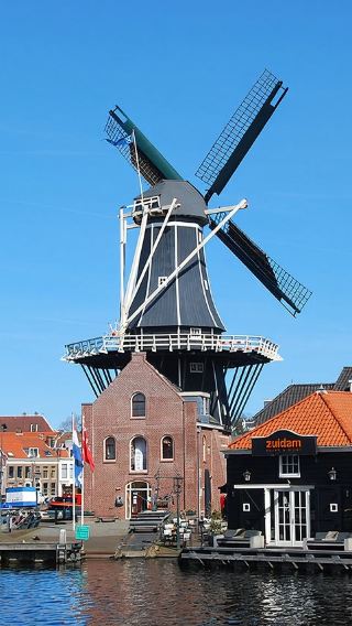Madame Tussauds Amsterdam + Windmill De Adriaan + The St. Bavo Church in Haarlem Day Tour