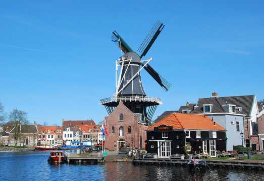 Madame Tussauds Amsterdam + Windmill De Adriaan + The St. Bavo Church in Haarlem Day Tour