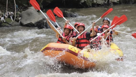 Ayung White Water Rafting (Wildwasser-Rafting auf dem Ayung-Fluss)