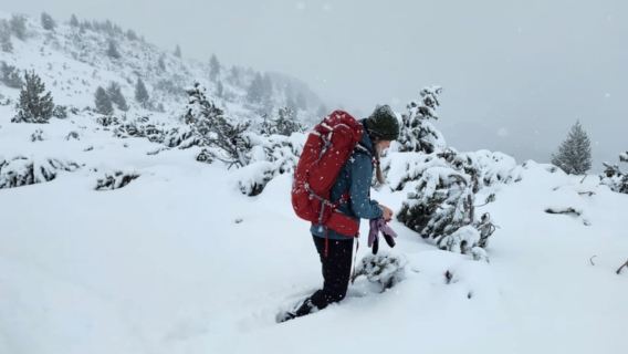 From Sofia: The Seven Rila Lakes Full-Day Hiking Tour