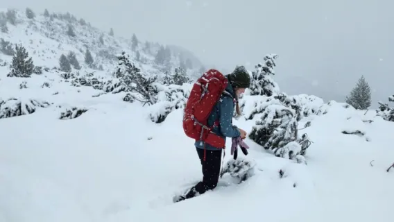Desde Sofía: Excursión de senderismo de día completo a los Siete Lagos de Rila