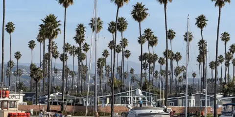 美國洛杉磯洛杉磯藝術博物館+格里菲斯天文台【中文專車包車出行】