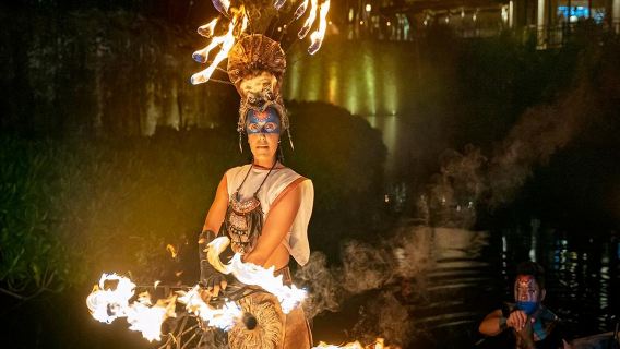 Cirque du Soleil JOYÀ - Admission