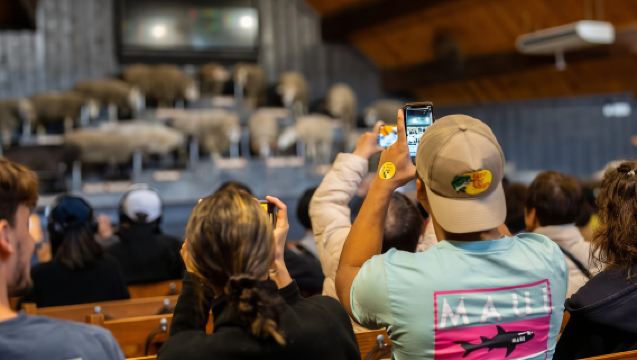 Rotorua: Authentic Kiwi Farm Experience at the Agrodome