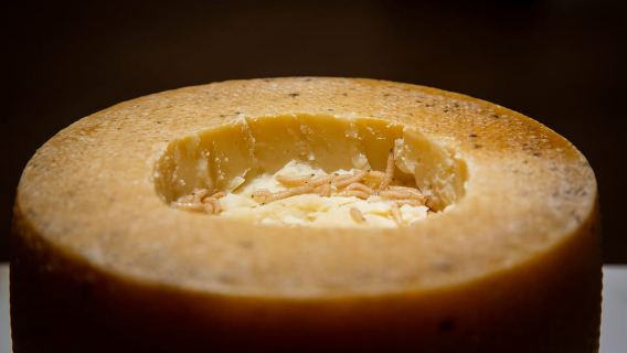 Malmö: Disgusting Food Museum Entrance Ticket