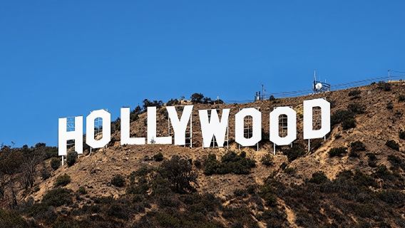 Tour privado por la ciudad de Los Ángeles con playas desde Anaheim para 1-10 pasajeros