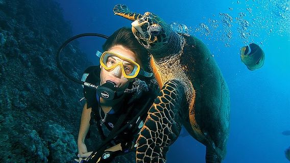 Scuba Diving full of adrenaline in Antalya