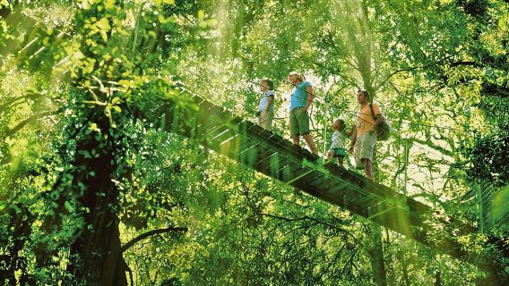 Lamington National Park, O'Reilly's & Vineyard: Day Trip from Gold Coast