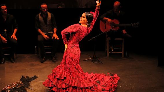 Tour de tapas en Sevilla y espectáculo de flamenco auténtico