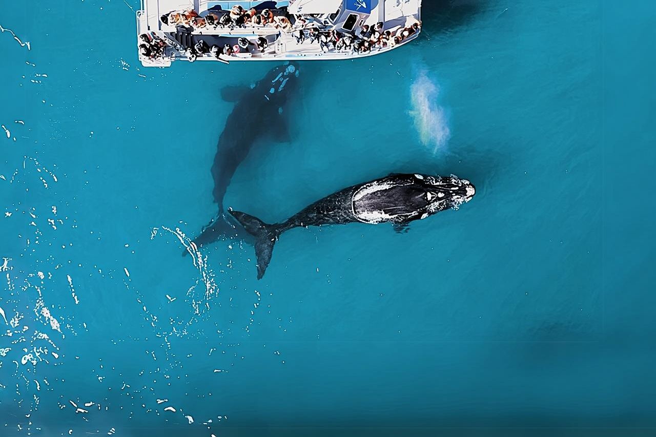 Marine Big 5 Safari: Self-Drive