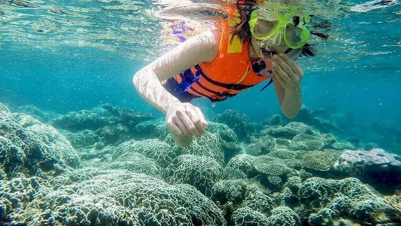 From Mui Ne To Vinh Hy Bay Snorkeling And Fishing Tour | Day Trip