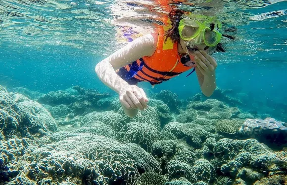 從美奈到永熙灣浮潛及釣魚之旅 | 一日遊