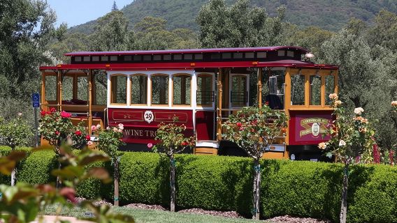 Sonoma Valley Open Air Wine Trolley Tour