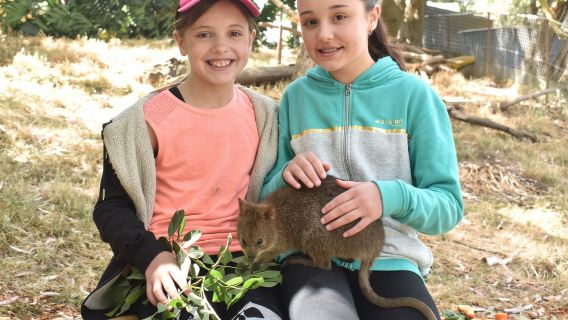 Gorge Wildlife Park: Entry Ticket