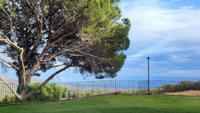 7 or 4 Wines and Food Tasting in Etna National Park with Winery Tour