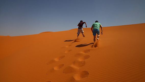 Sahara Dunes Sandboarding, Quad Biking, Camel Ride And BBQ