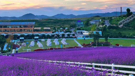 貴州貴陽-青雲集市-花溪高坡雲頂花海-青岩古鎮-花溪夜郎谷#