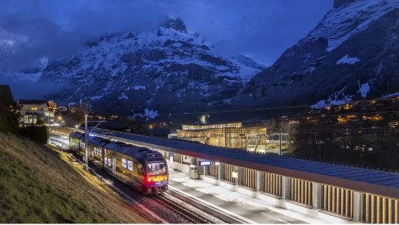one-day tour to Jungfraujoch, Switzerland (Special offer + private charter self-guided tour+ one person can book + daily tour)