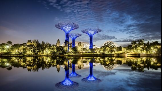 新加坡動物園+新加坡濱海灣花園-可定制【中文專車-舒適純淨】