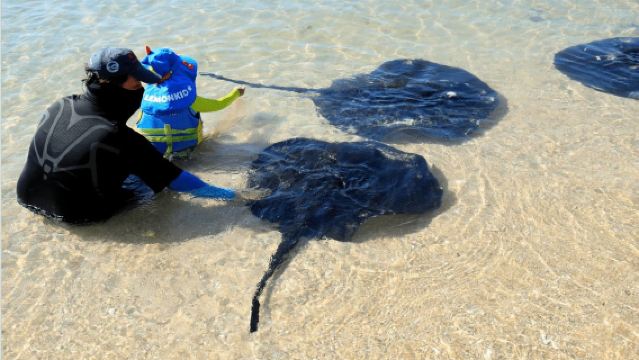 Lingshui Boundary Island 1-day tour ( Includes entrance and boat ticket, private pick-up and drop-off, and guide )