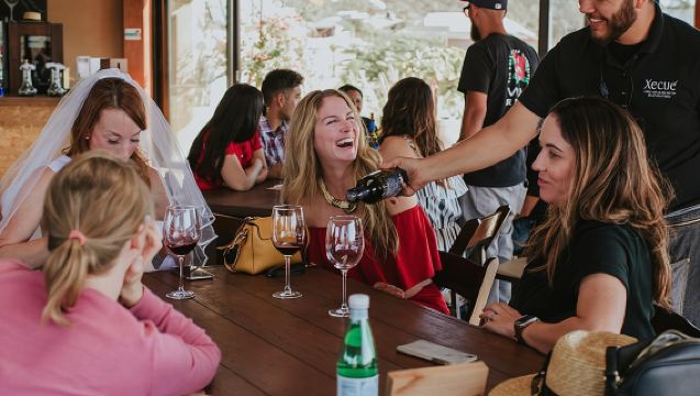 Xecue Wine Tasting in the Guadalupe Valley