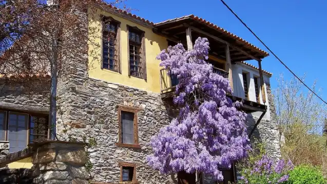 Halkidiki Experience: Private Tour to Sithonia from Thessaloniki