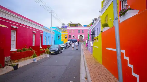 FULL Day Cape of Good Hope and Boulders Penguin Colony