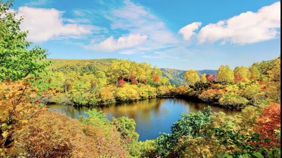 日本北海道青池-森林精靈陽台-四季彩之丘【北海道中文專車】