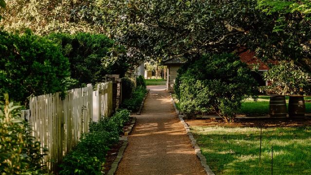 Belle Meade Guided Mansion Tour with Complimentary Wine Tasting