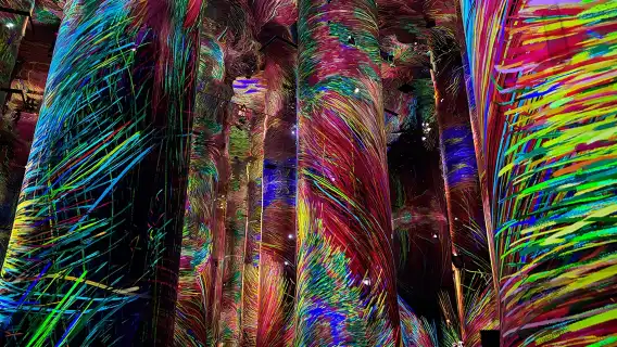 Teamlab現像阿布達比+羅浮宮+謝赫扎耶德大清真寺一日遊