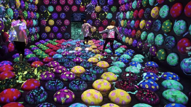 Entrada para una experiencia artística inmersiva en teamLab Forest Fukuoka