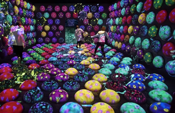 teamLab Forest 福岡沉浸式藝術體驗門票