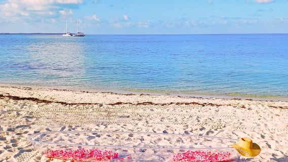 Miami/Pantai Selatan: Pemotretan Kayak Jelas dengan Drone