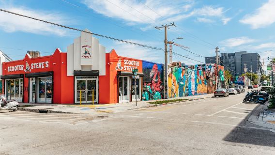 Tour nghệ thuật đường phố 1 giờ tại Khu nghệ thuật Wynwood bằng xe điện