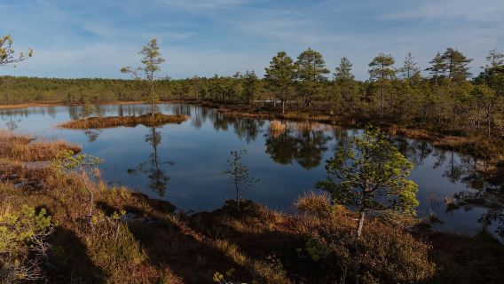 Desde Tallin: Excursión de un día al Parque Nacional de Lahemaa