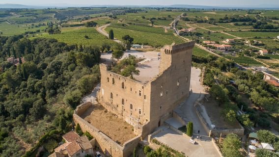 Из Авиньона: тур на целый день в Люберон и Шатонеф-дю-Пап