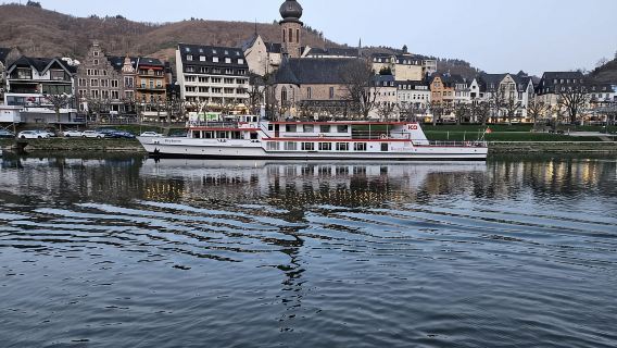 Cochem: Panoramic Cruise on the Moselle River
