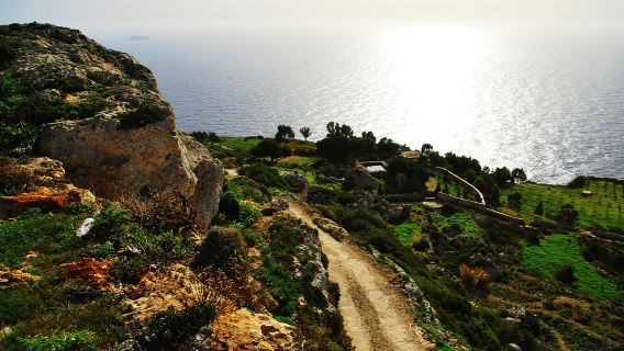 Tour panoramico in autobus d'epoca al Buskett Garden e alle scogliere di Dingli