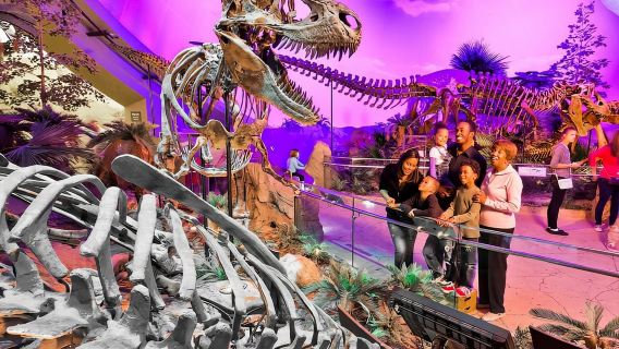 Indianapolis: 3-Day Indy Attraction Pass