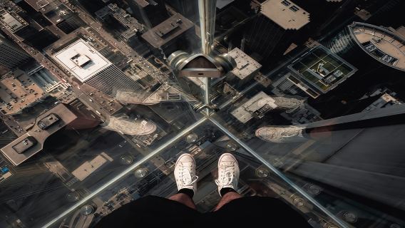 Chicago Highlights Walking Tour with Skydeck & Cruise