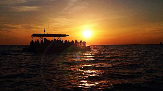 Destin: crociera per l'osservazione dei delfini