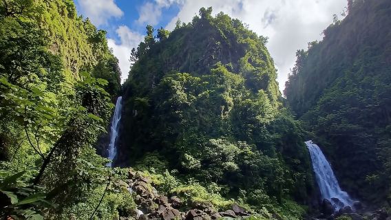 Roseau: Wanderung zum Morne Diablotin