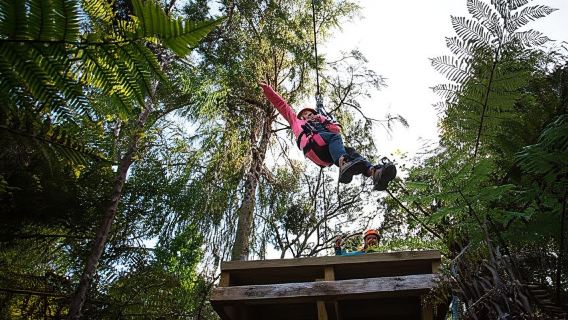 Coromandel: Guided Zipline Tour Experience