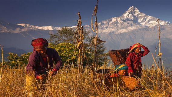 Day Hike at Annapurna Foothills