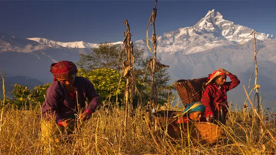 Escursione giornaliera ai piedi dell'Annapurna