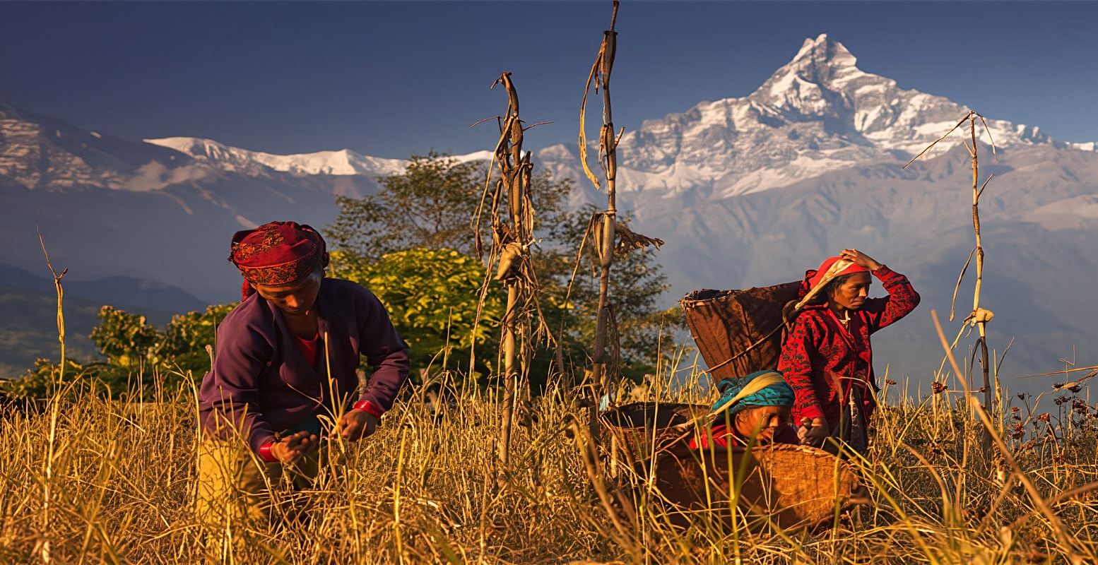 Day Hike at Annapurna Foothills